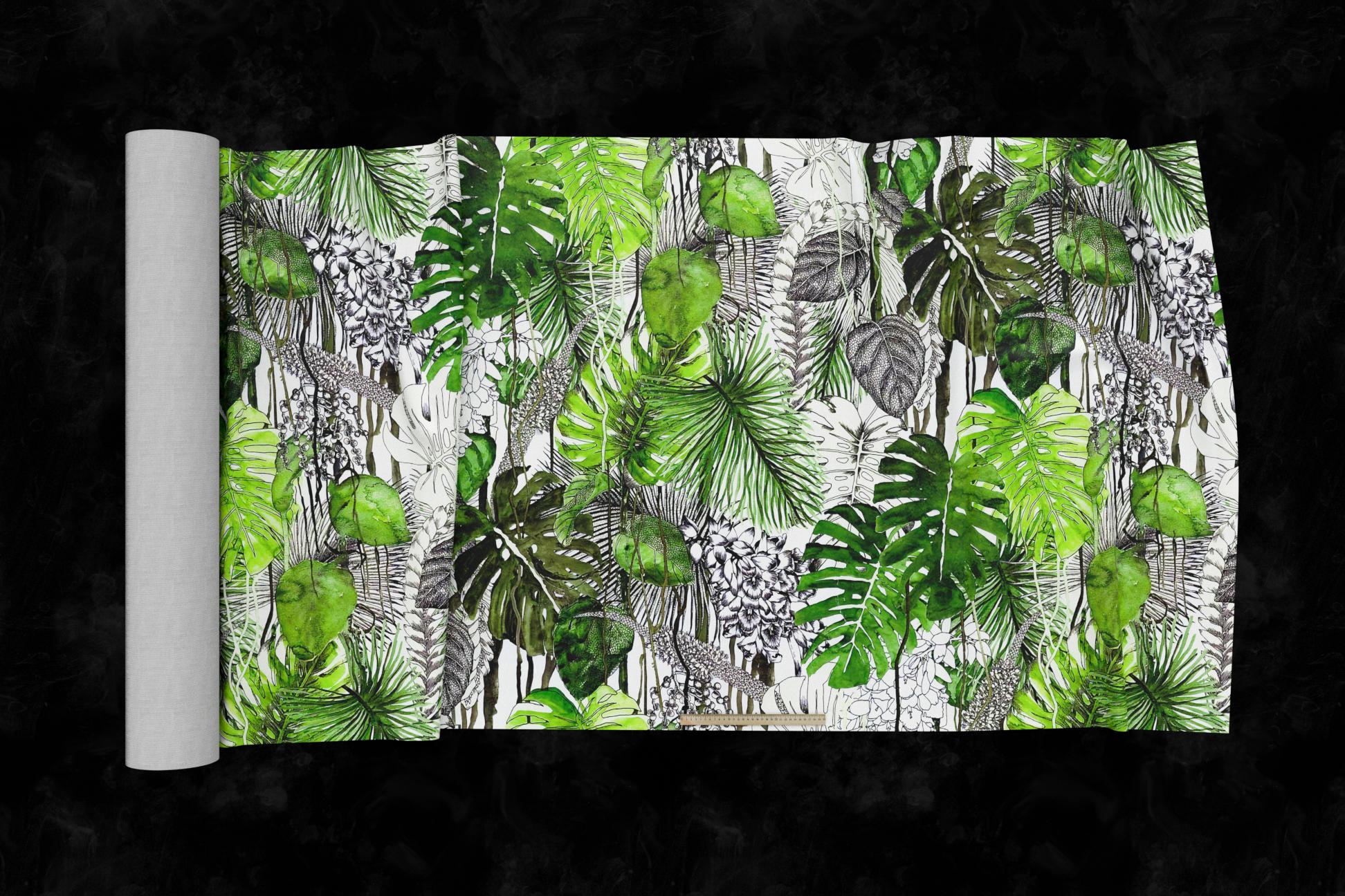 Tropics
